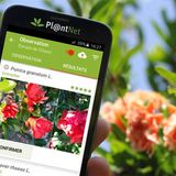 Διαδικτυακό σεμινάριο (webinar) με θέμα «Παρακολουθώντας τη βιοποικιλότητα των φυτών με το Pl@ntNet»