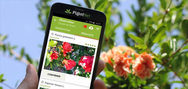 Διαδικτυακό σεμινάριο (webinar) με θέμα «Παρακολουθώντας τη βιοποικιλότητα των φυτών με το Pl@ntNet»