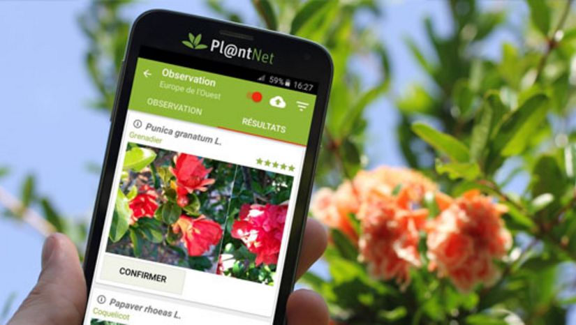 Διαδικτυακό σεμινάριο (webinar) με θέμα «Παρακολουθώντας τη βιοποικιλότητα των φυτών με το Pl@ntNet»
